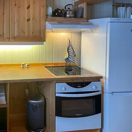 Ferienhaus Wooden From The 70s At Tree Line In Geilo