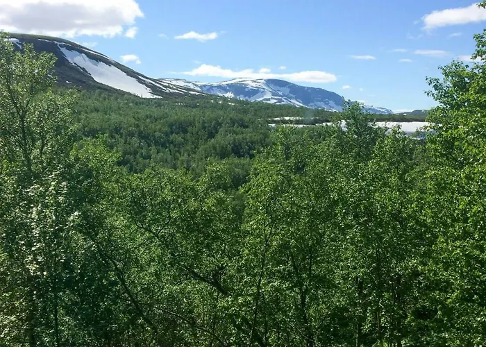 Wooden From The 70s At Tree Line In Geilo