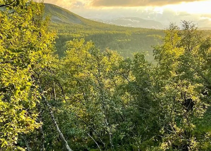 Wooden From The 70s At Tree Line In Geilo